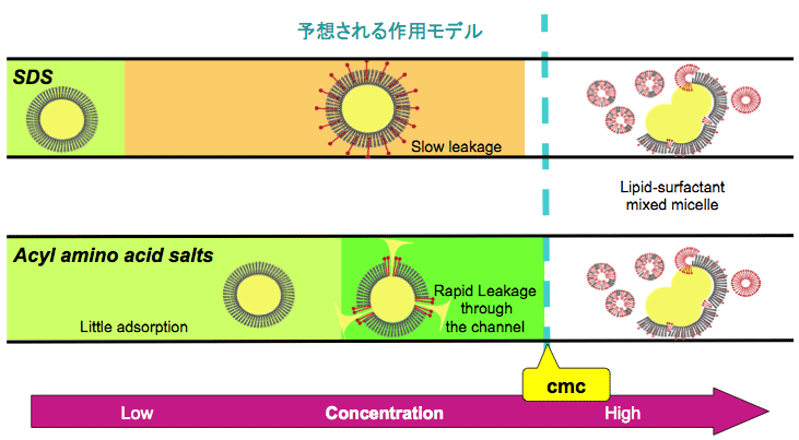 micellar phase diagram