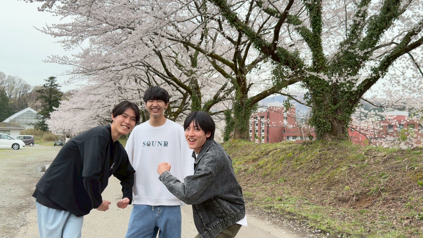 全体写真